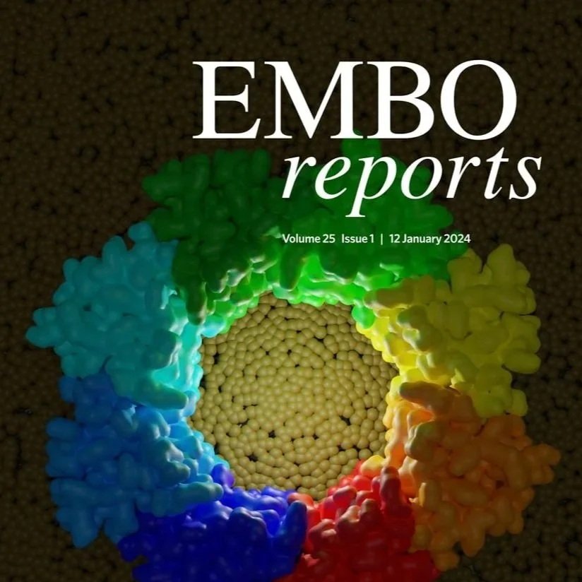 Interview for EMBO Reports with Professor Peter Barham on his unusual scientific path across physics, gastronomy, and biology.