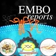 Feature for EMBO Reports on how science supports global efforts to tackle wildlife crime and international enforcement.