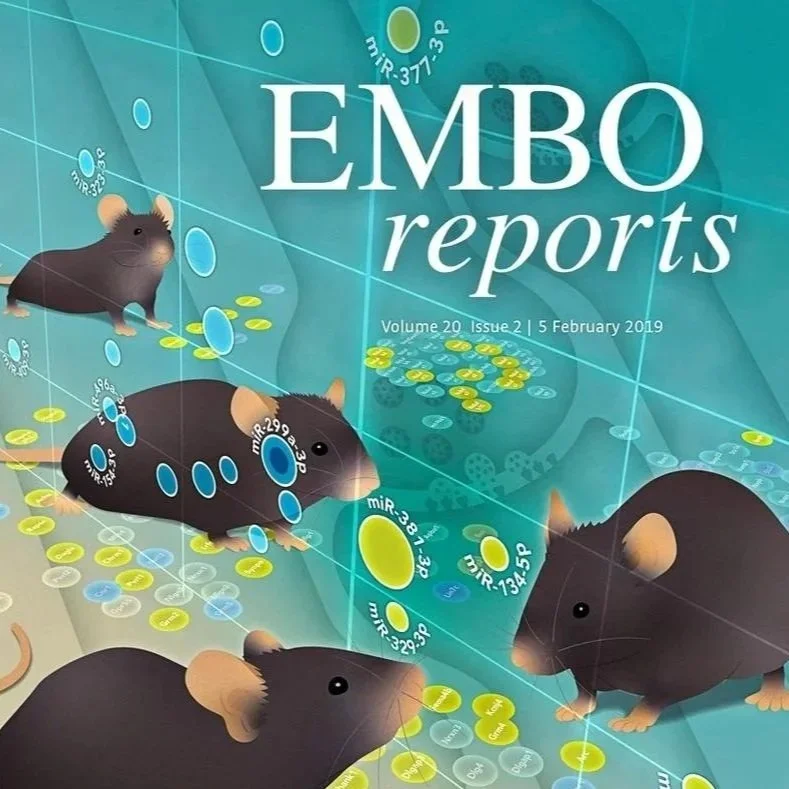 Interview for EMBO Reports with Professor Iain Mattaj on leadership, scientific culture, and his time as Director‑General of EMBL.