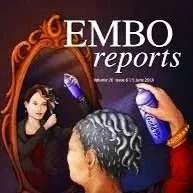 Interview for EMBO Reports with Dame Anne Glover on science advice, leadership, and her time as Chief Scientific Advisor to the European Commission.