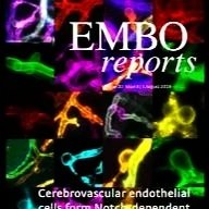 Feature for EMBO Reports on how citizen science is reshaping research in healthcare and the environment. 
