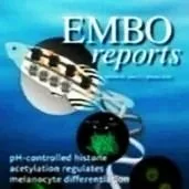 Interview for EMBO Reports with Dr Thomas Brooks on evidence‑based conservation, and global biodiversity work.