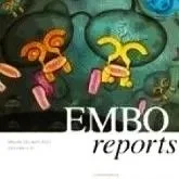 Interview for EMBO Reports on the evolution of the Lindau Nobel Laureate Meetings, intergenerational dialogue, and global scientific exchange.