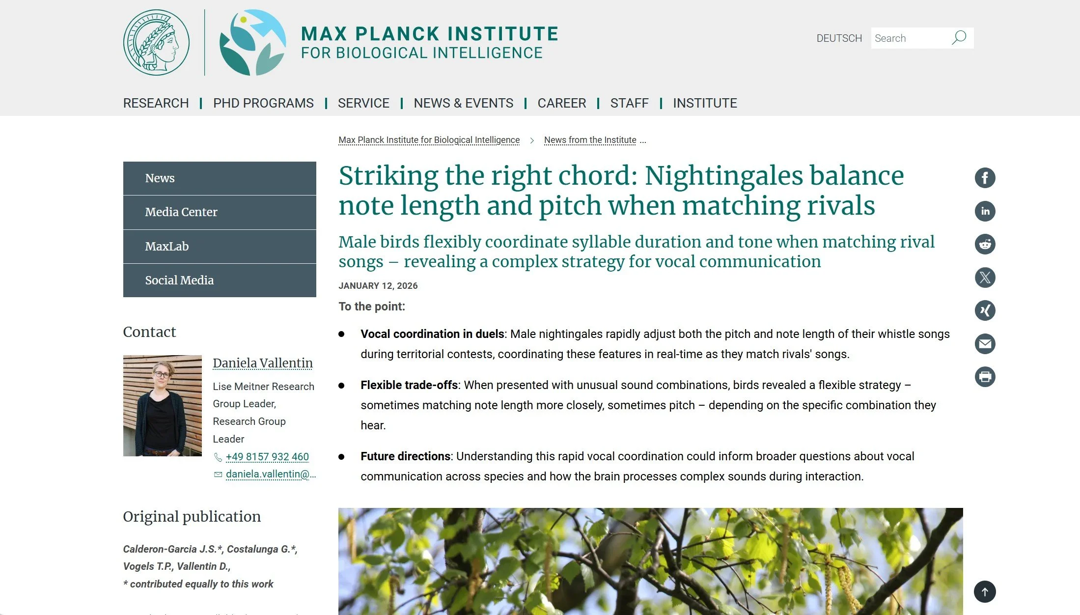 Press release for the Max Planck Institute for Biological Intelligence on new research into vocal learning in songbirds.