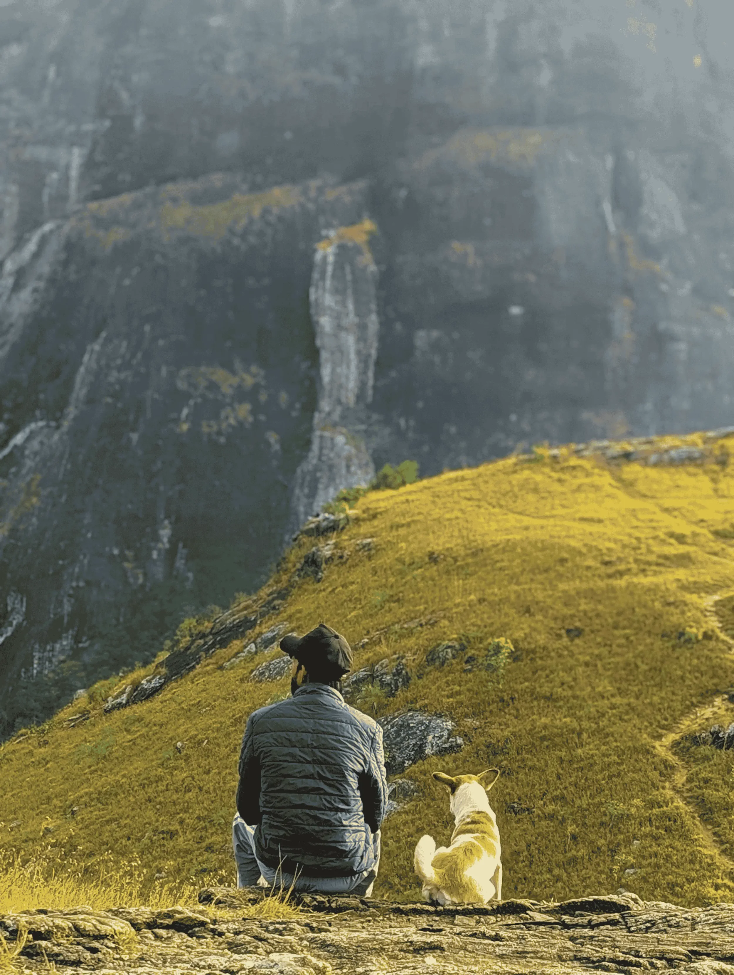 A man sitting beside his dog at a mountain overlook with a small waterfall, reflecting anxiety relief.