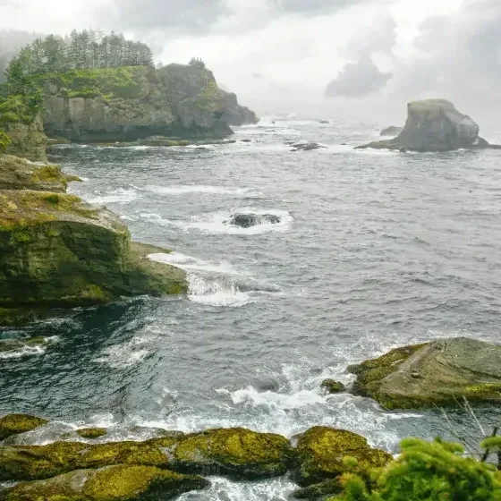 A misty, serene coastline with rocky textures, symbolizing safety and emotional calm.