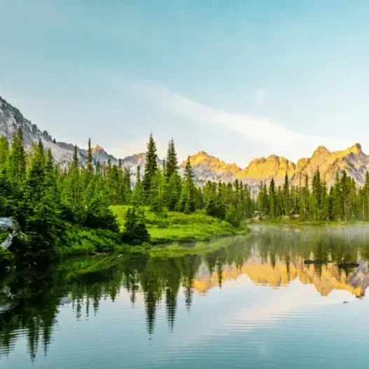 A vast, calm field under open skies, reflecting stability and endurance for chronic illness support.