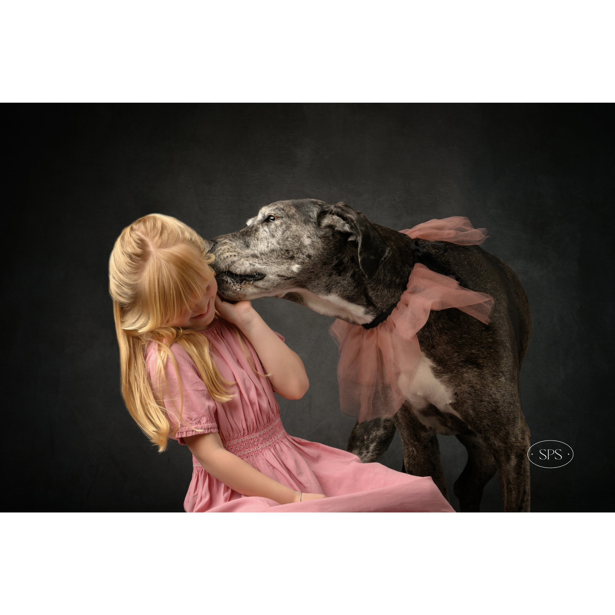 Girl with blonde hair wearing pink dress gently touching dog's face, dog is a large gray and black breed with a pink tutu, dark plain background.