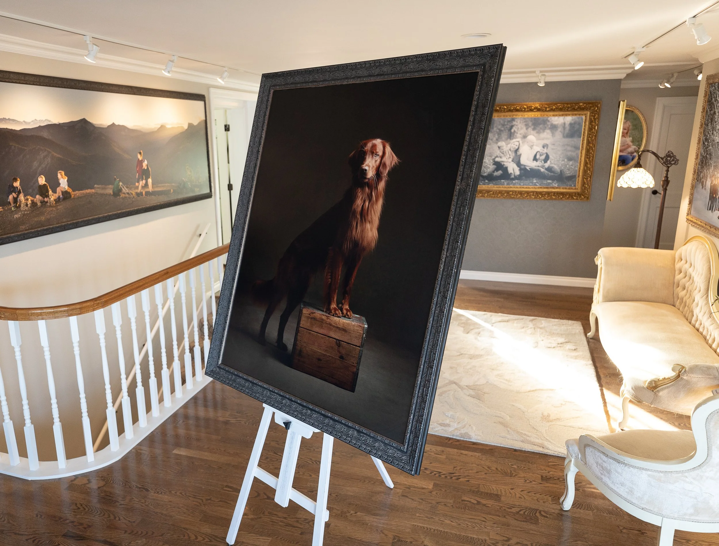An art gallery with framed photographs on the walls and a portrait of a dog on an easel in the foreground.
