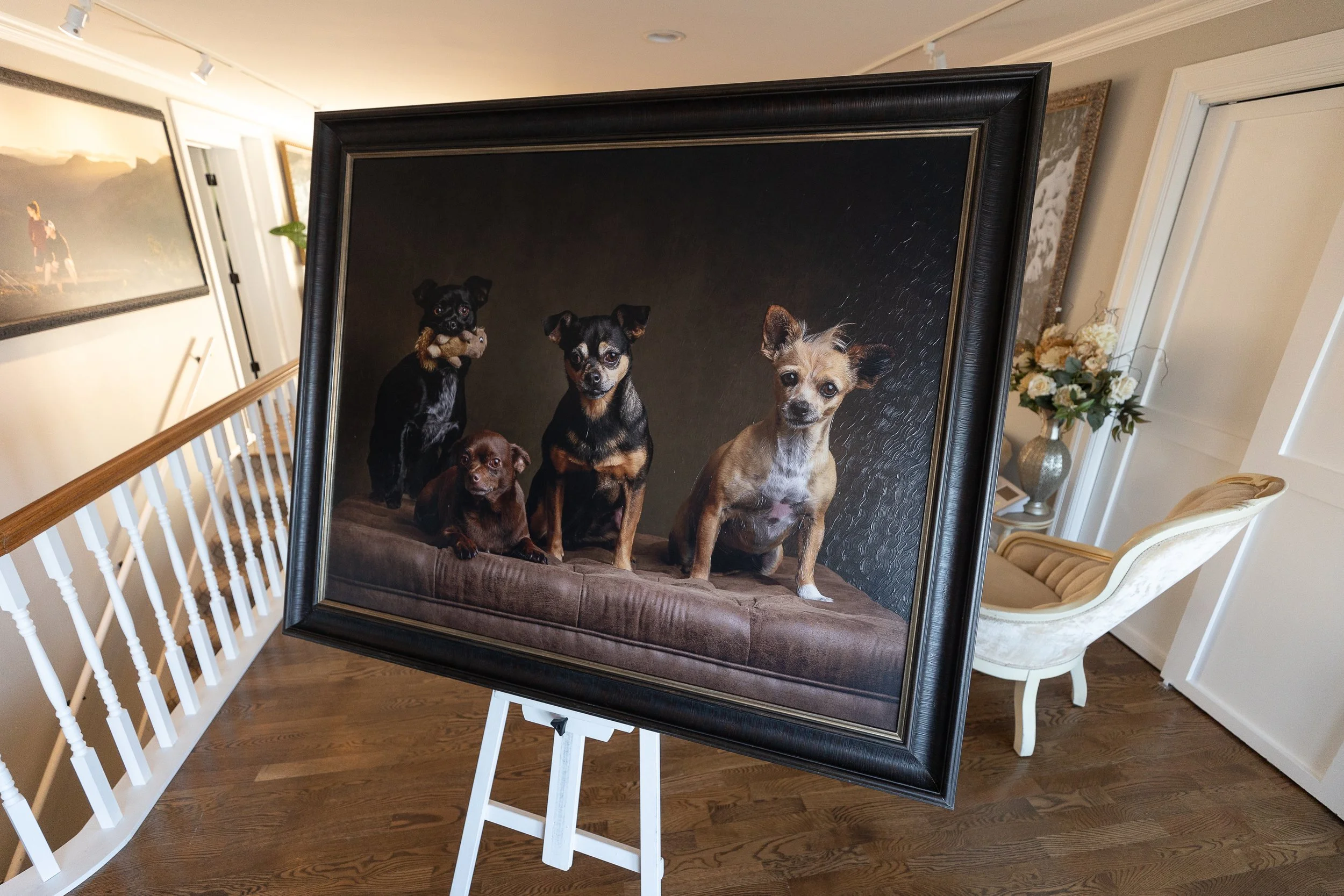 A portrait of five small dogs on a black background, displayed on an easel in a room with hardwood floors, white walls, and framed artwork.