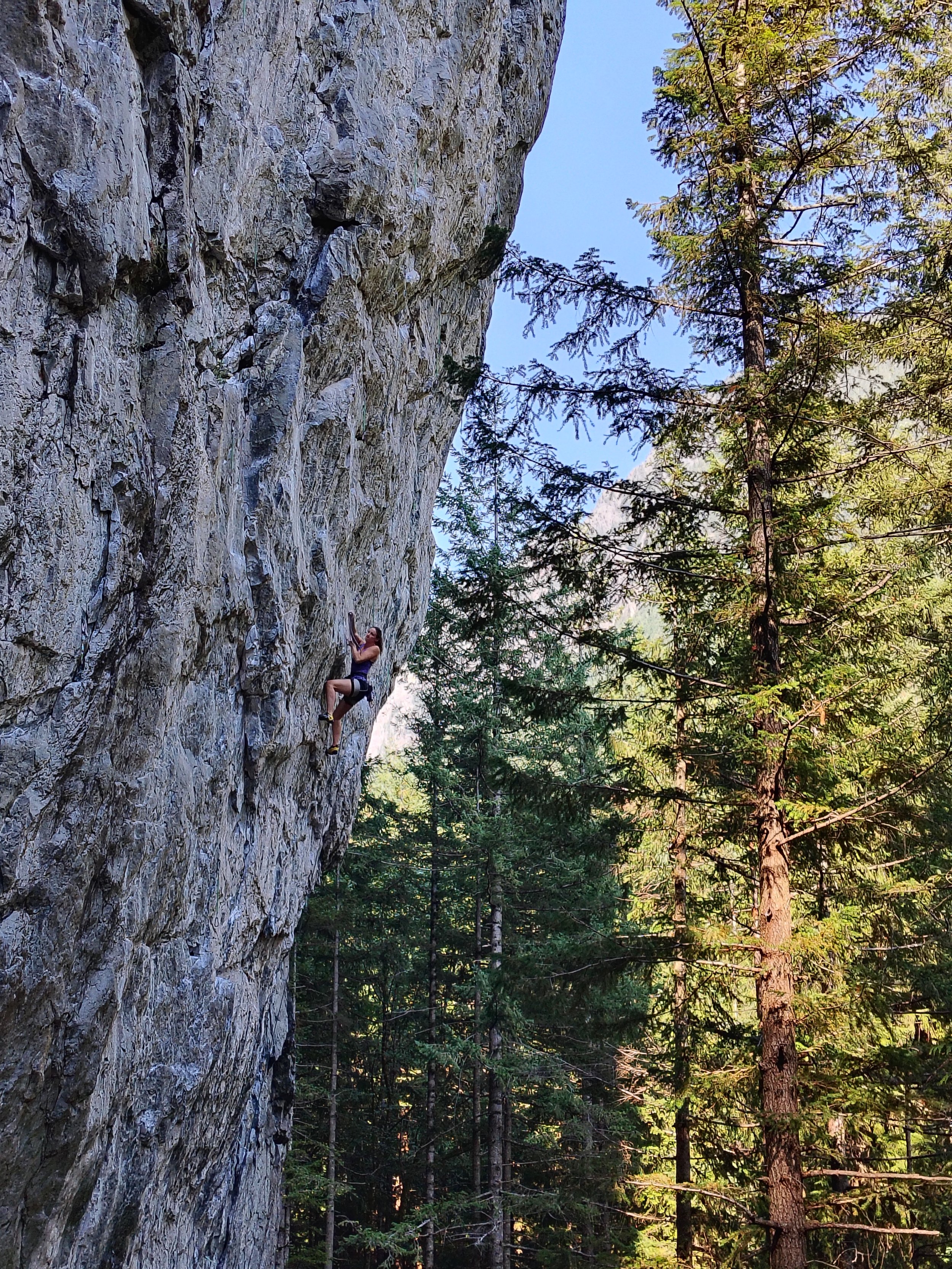 A person rock climbing on a steep, gray rock face in a forested area with tall green trees and a clear blue sky.