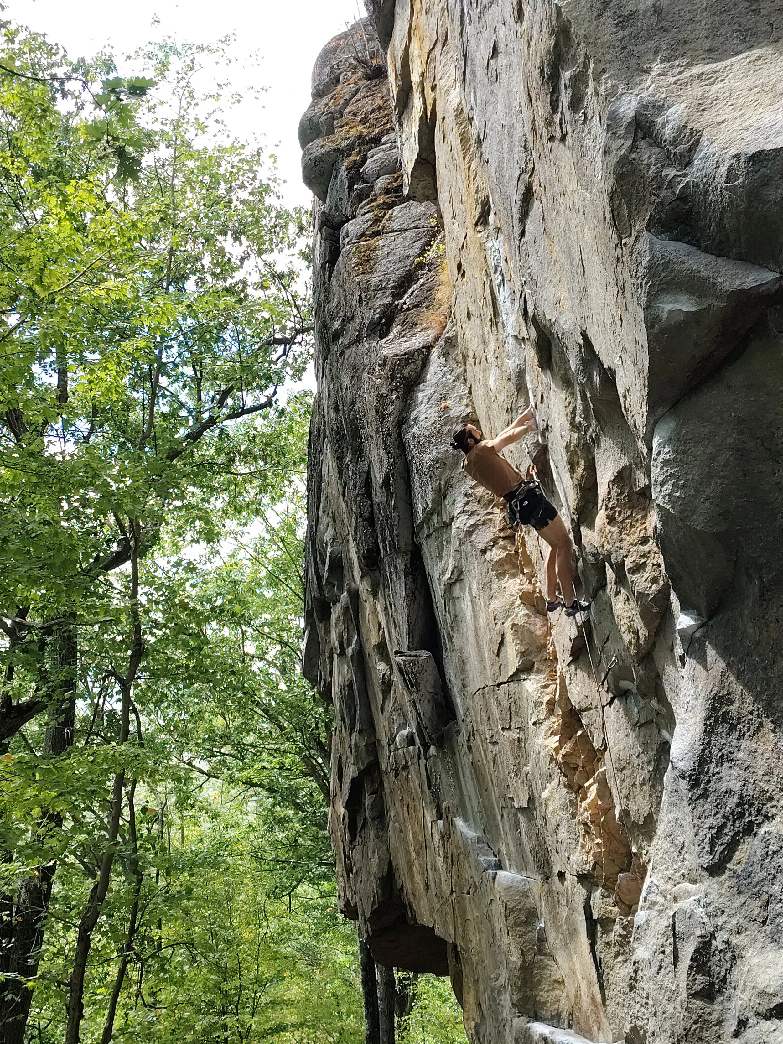 A person rock climbing on a vertical rock face surrounded by green trees.