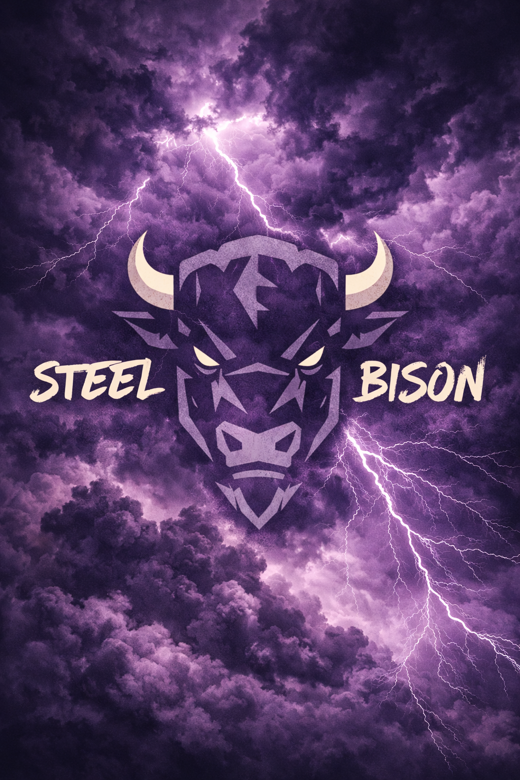 A graphic of a Steampunk-style bison head with lightning and storm clouds in the background. The text 'STEEL' is on the left and 'BISON' on the right.
