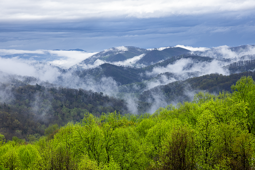 Green trees on rolling mountains with mist and clouds in the sky.