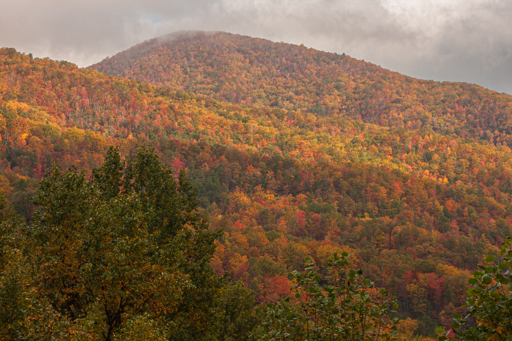 A mountain covered in colorful autumn foliage with green, yellow, orange, and red trees, under a cloudy sky.