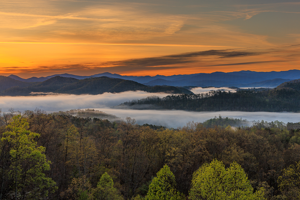 Sunset over a mountain range with fog in the valleys and trees in the foreground.