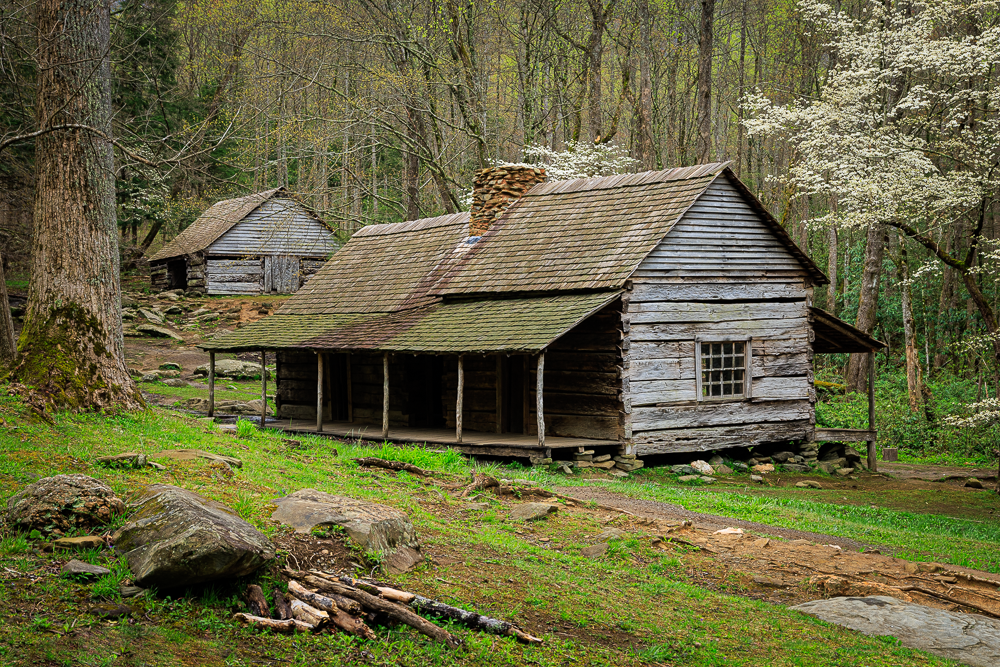 An old wooden cabin in a forest with green grass and trees around, and a smaller shed in the background.