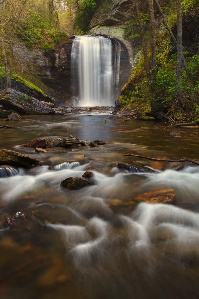 A waterfall flowing into a river surrounded by green trees in a forest.
