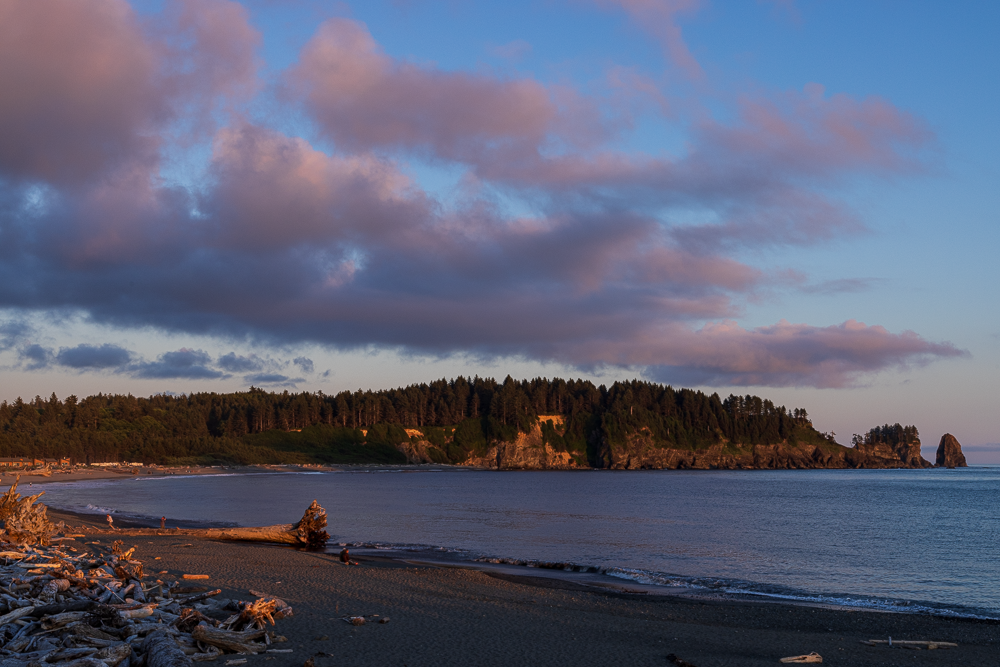 A scenic beach with driftwood in the foreground, a calm ocean, and a forested hill with cliffs in the background, under a blue sky with pink and purple clouds.