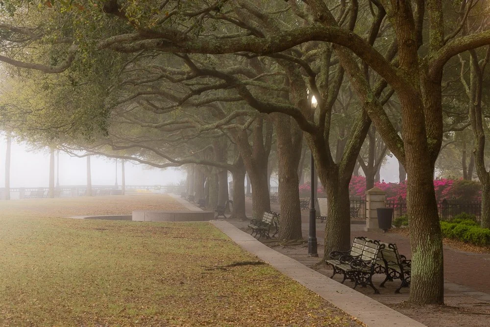 A foggy park pathway lined with large trees, benches, and vintage-style street lamps, with a grassy area on one side and flowering bushes in the background.