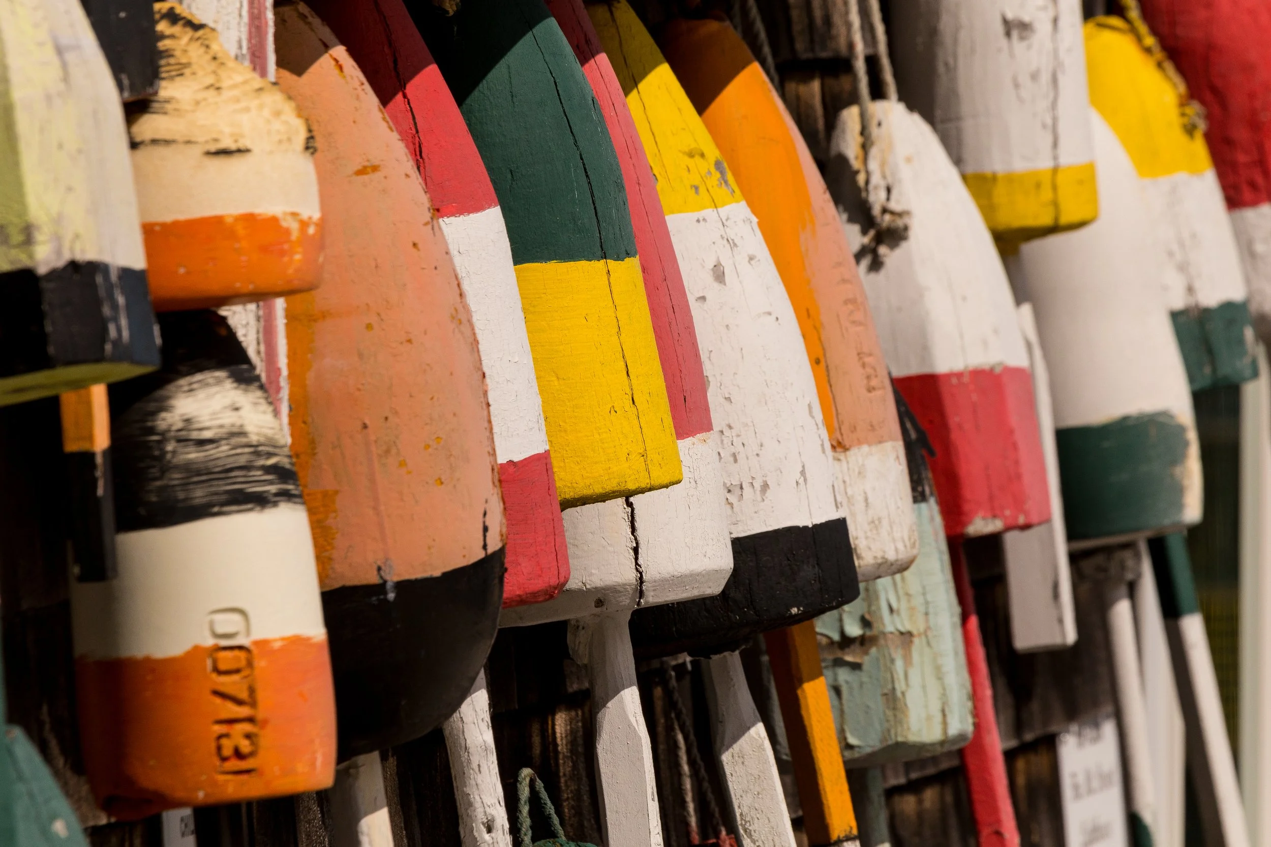 Various painted wooden buoys arranged in a row, showcasing different colors and markings.