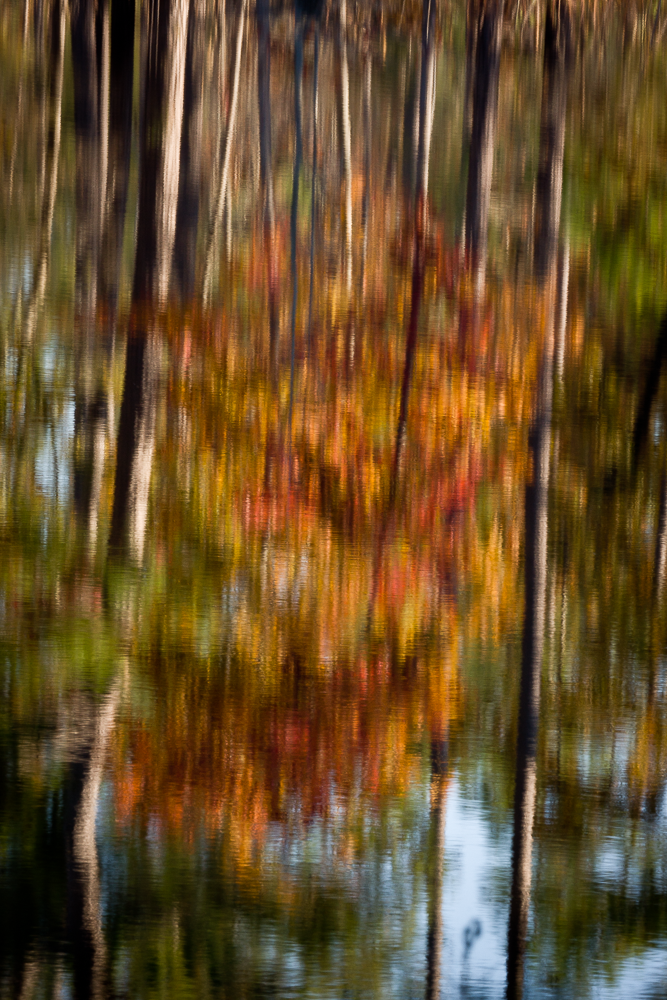 Reflections of a colorful autumn tree in a body of water with a blurry, abstract effect.