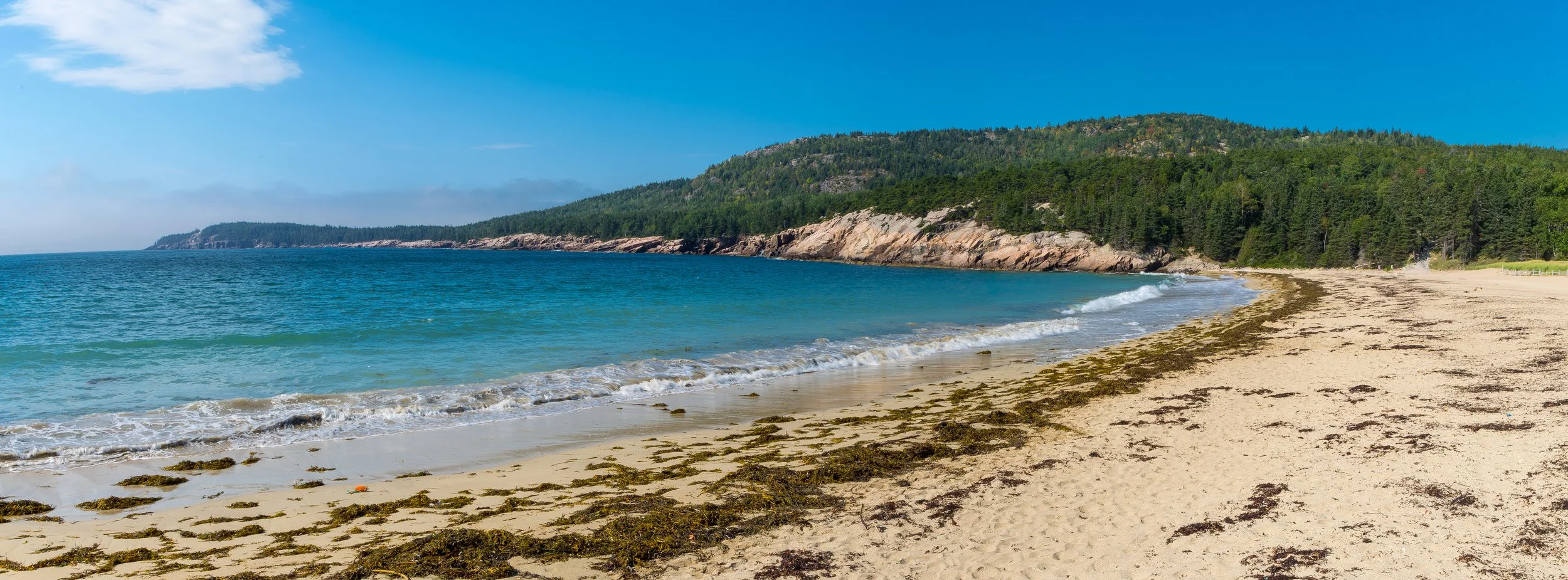 A scenic beach with sandy shores, seaweed, and gentle waves, backed by a forested hillside under a blue sky with some clouds.