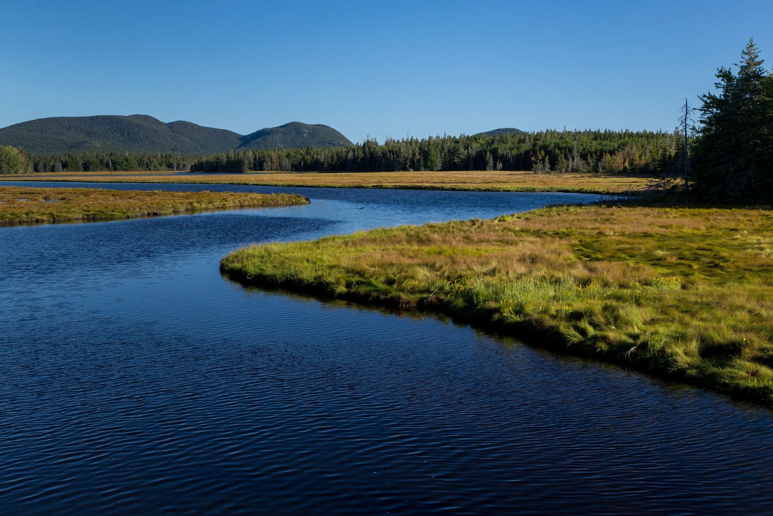 Scenic view of a winding river flowing through green marshland with forested hills and mountains in the background under a clear blue sky.