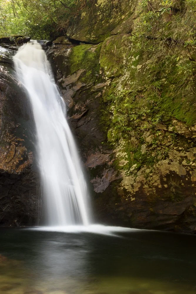 A waterfall flowing down a mossy rocky cliff into a calm pool below in a lush green forest.