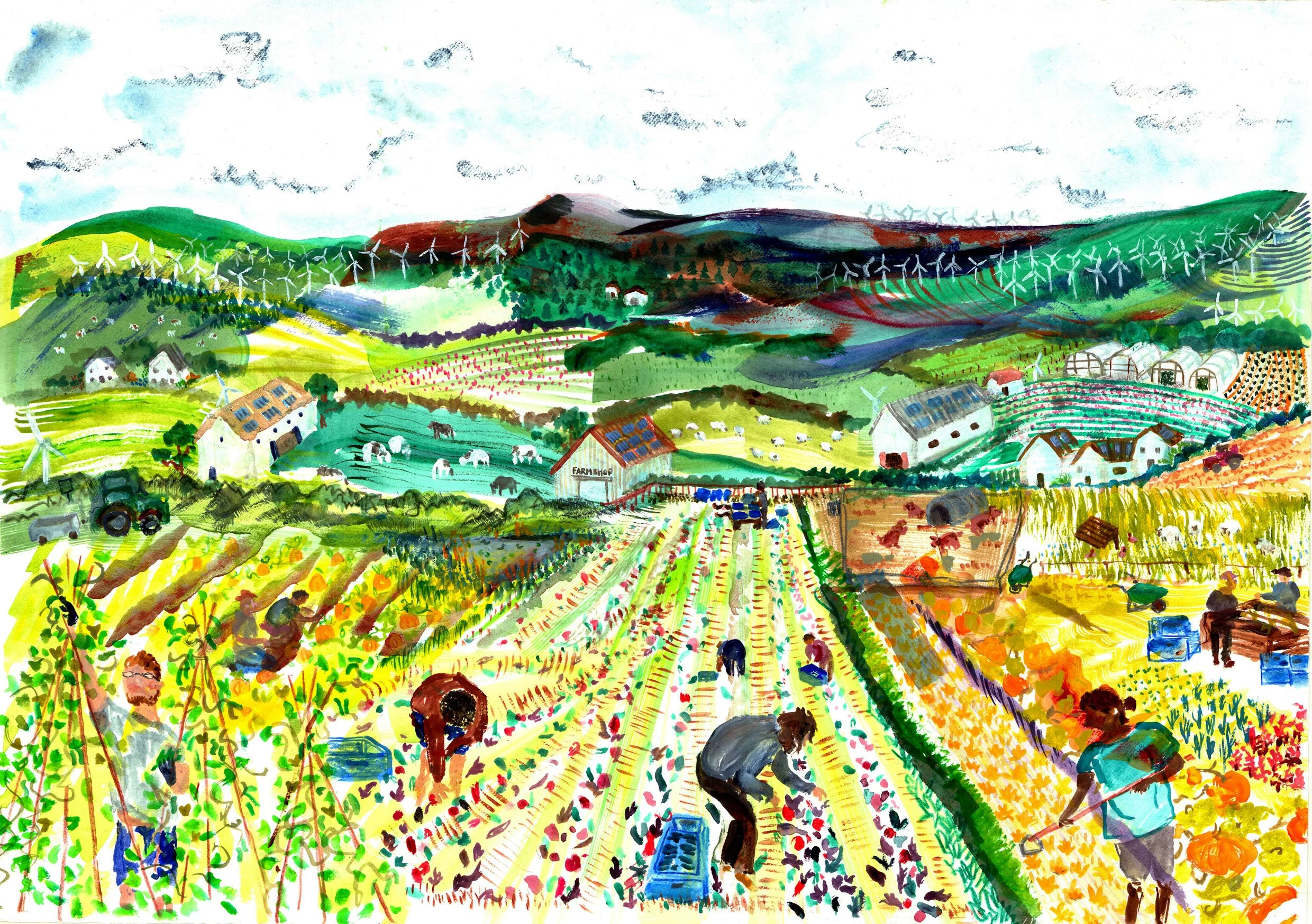 Agro-ecological Jigsaw Puzzle 