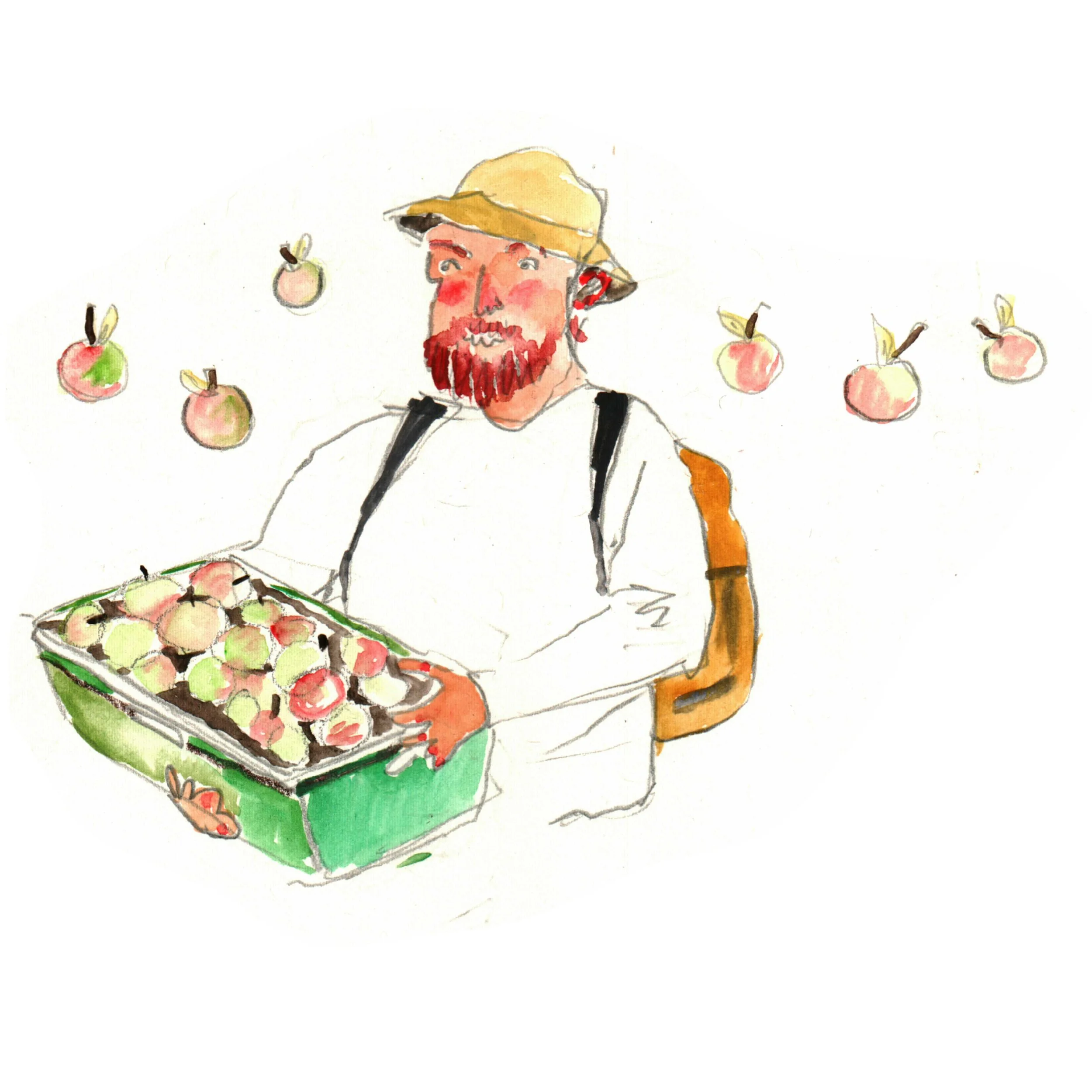 How to start a market garden - Propagate 