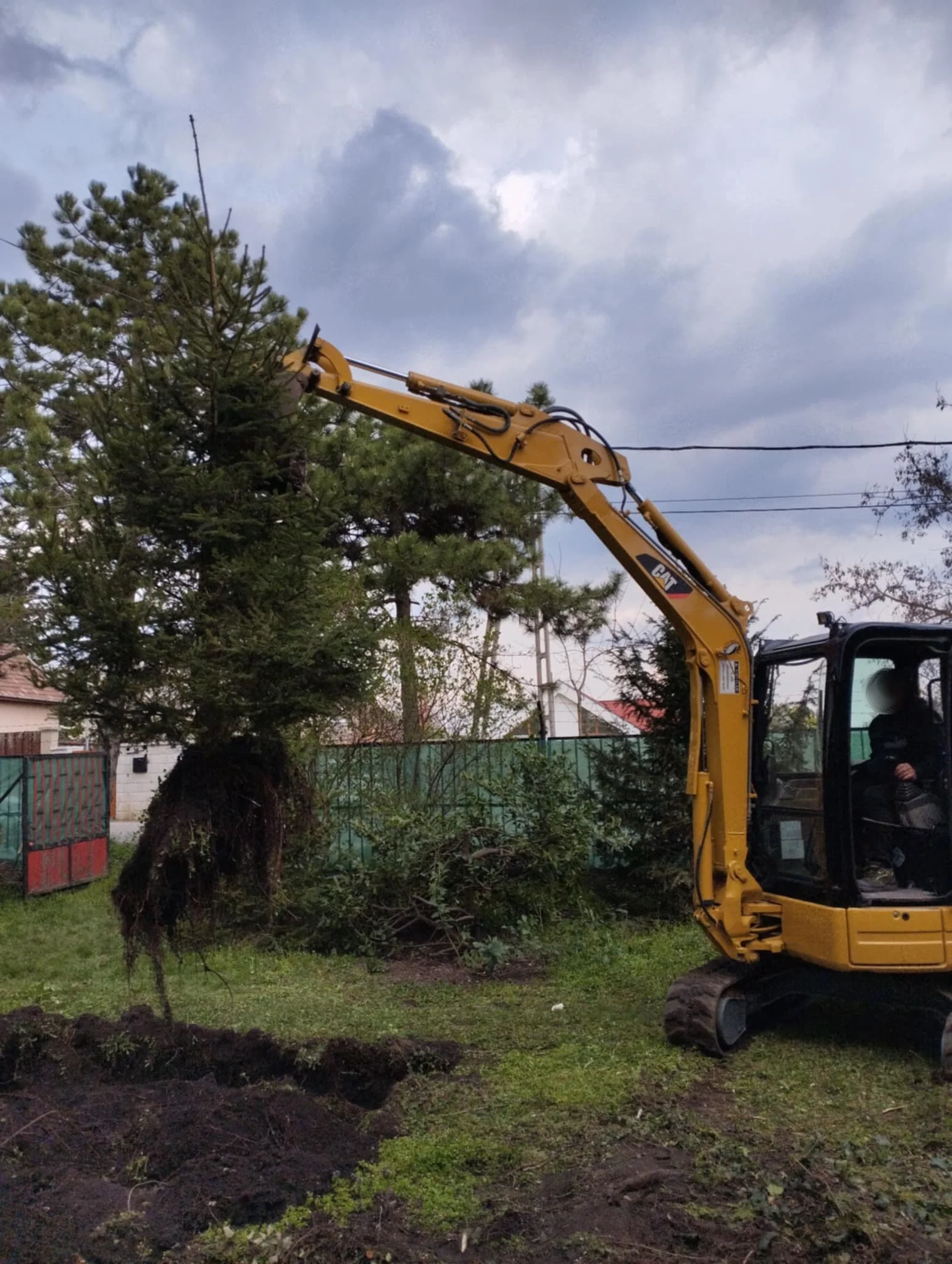 A yellow excavator lifting a large uprooted tree in a backyard with a green fence, trees, and a cloudy sky.