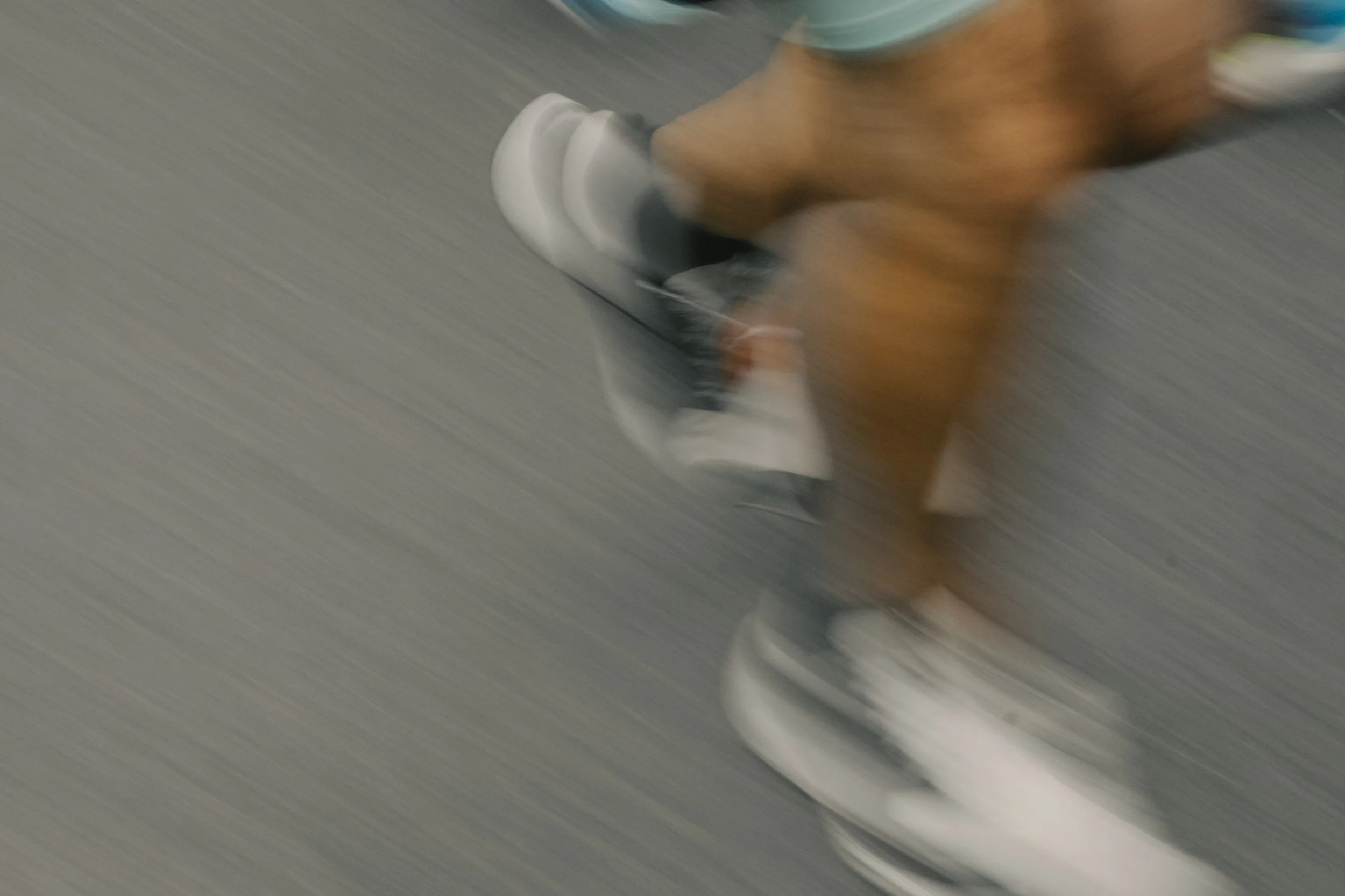 DSC02018.jpg
