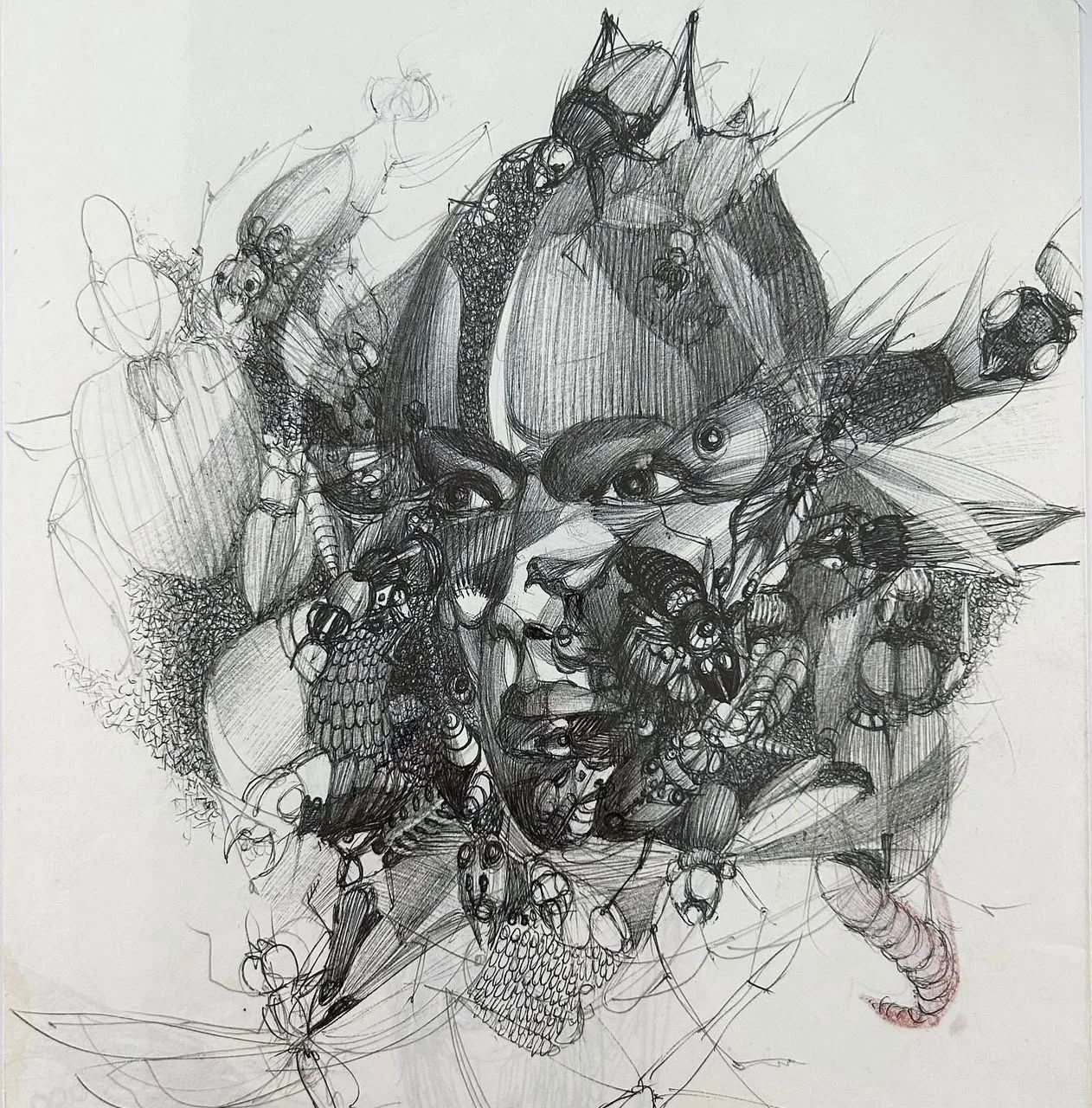 WhatsApp Image 2026-02-19 at 12.14.57 PM (1).jpeg