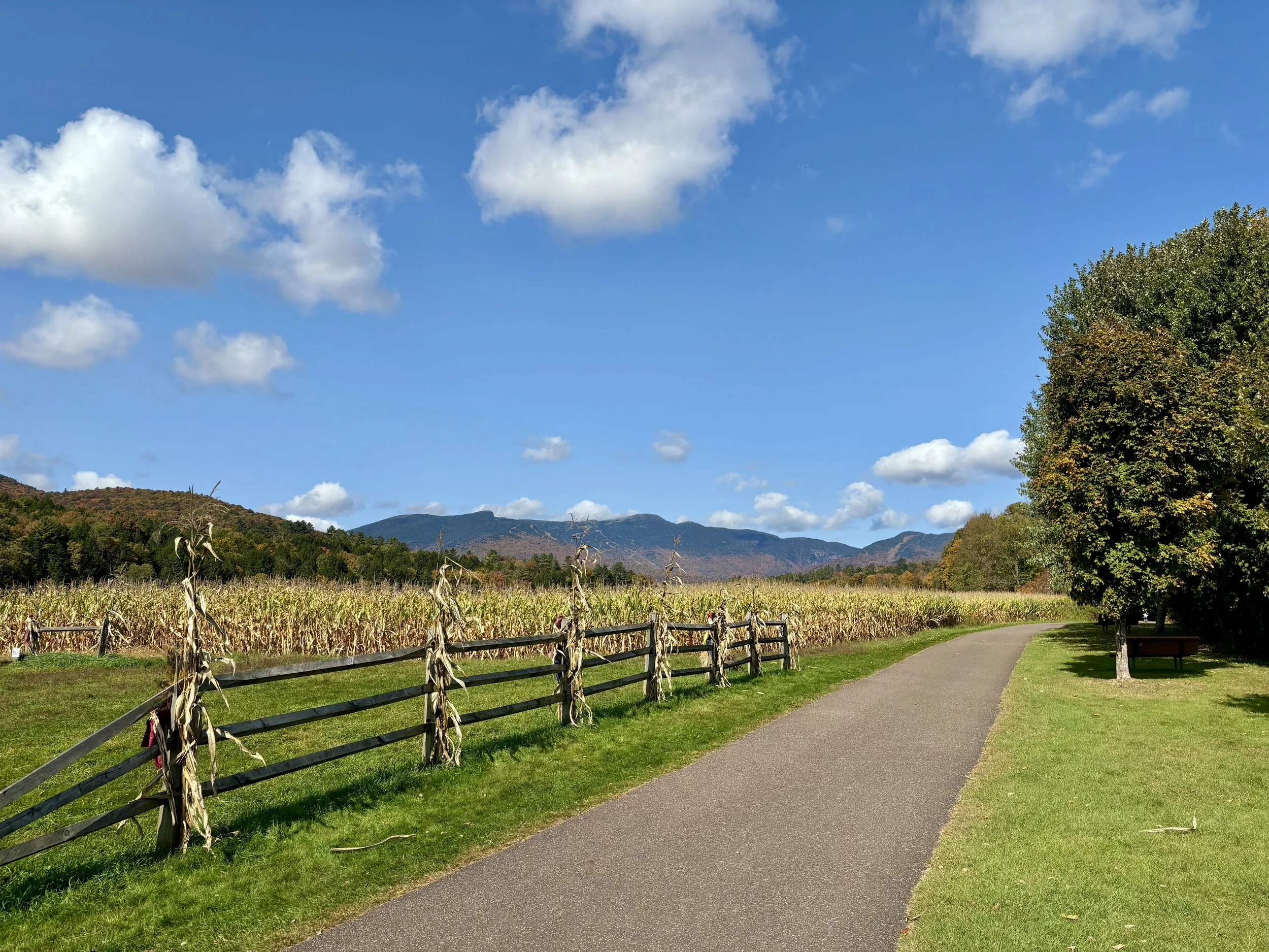 Finding a Therapist in Vermont: What to Know About Telehealth, Private Pay, and What Actually Works