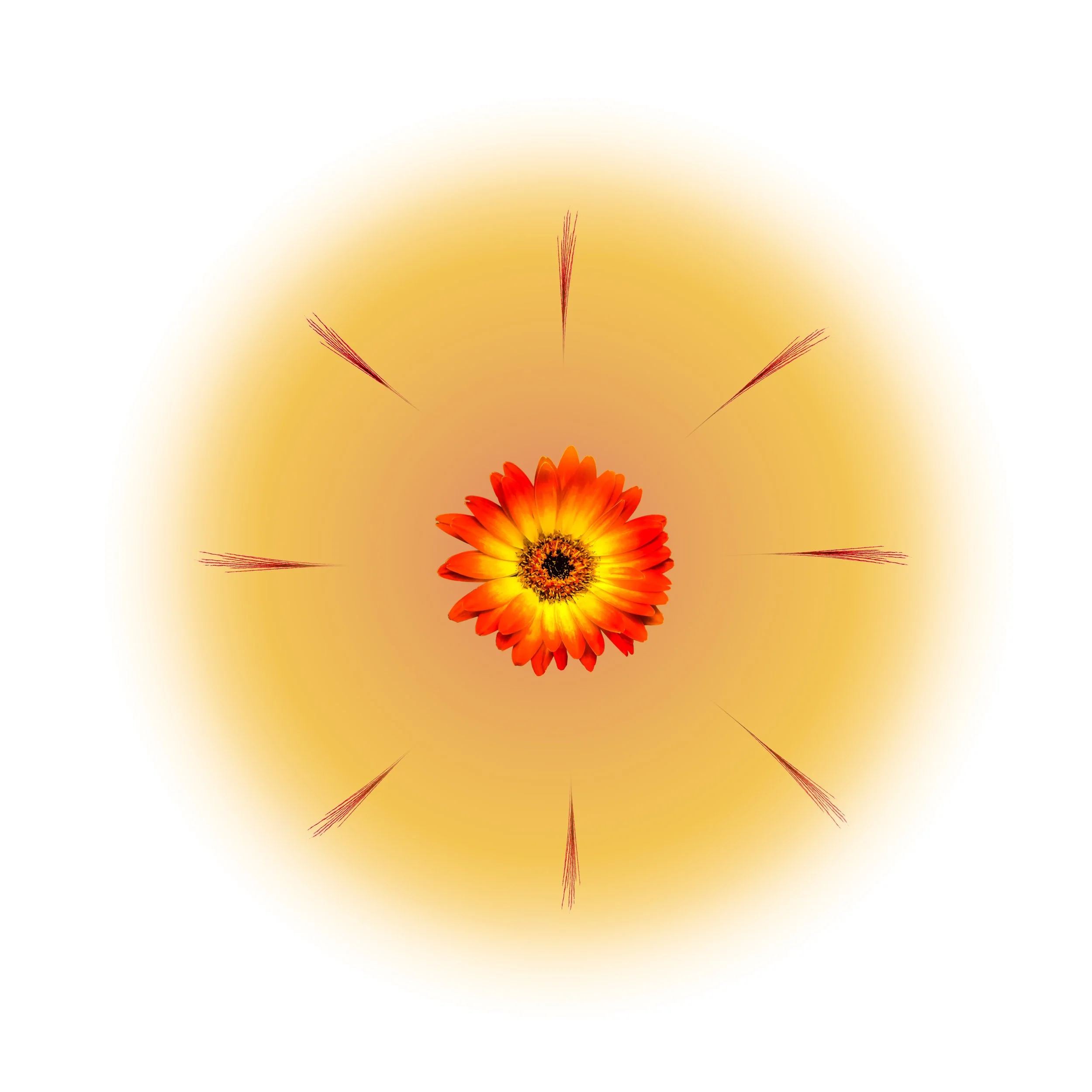 A bright orange and yellow flower in the center with surrounding red streaks emanating outward, set against a gradient yellow and white background. The arrangement resembles the sun emitting the energy.