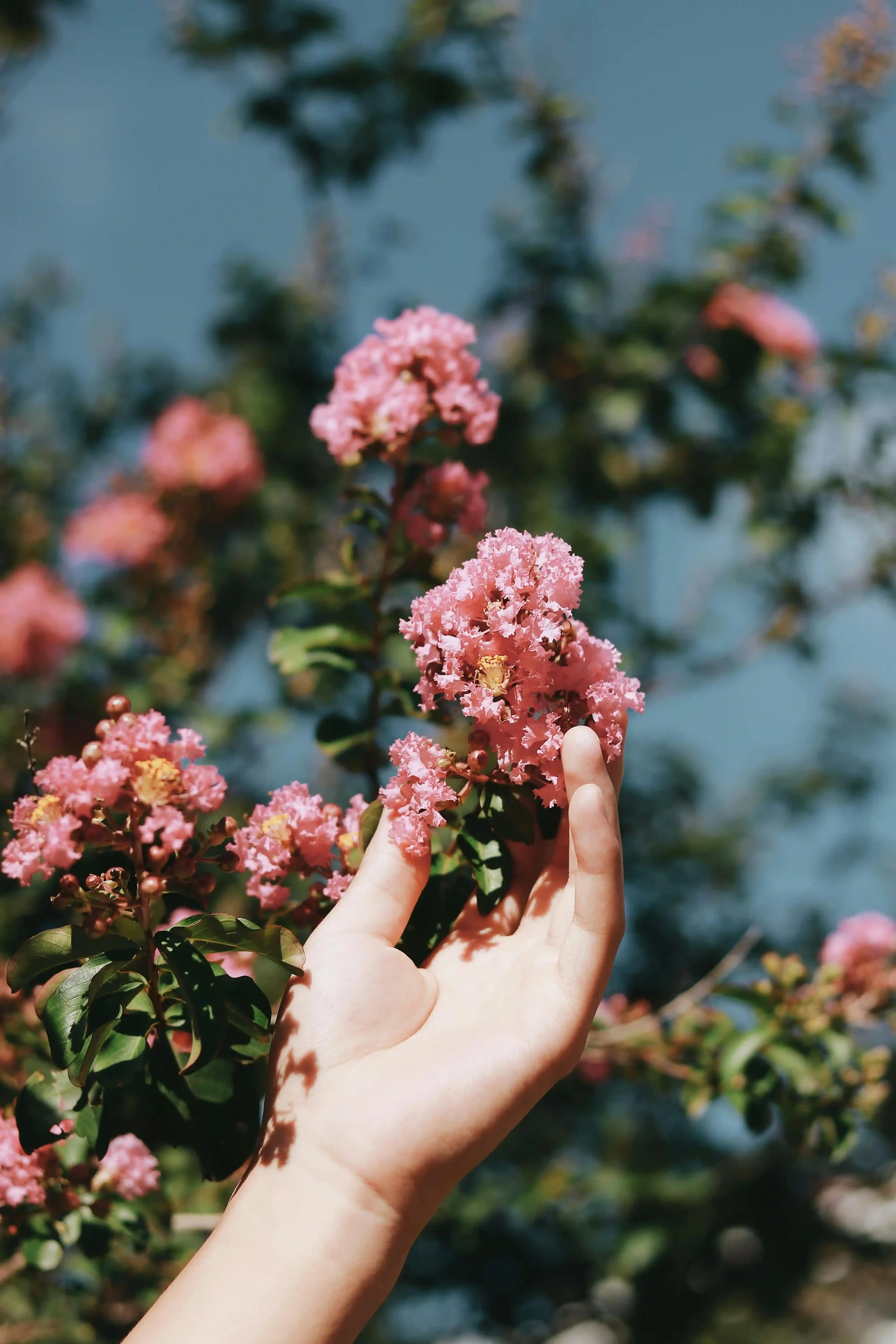 A woman's hand holding a flower.
