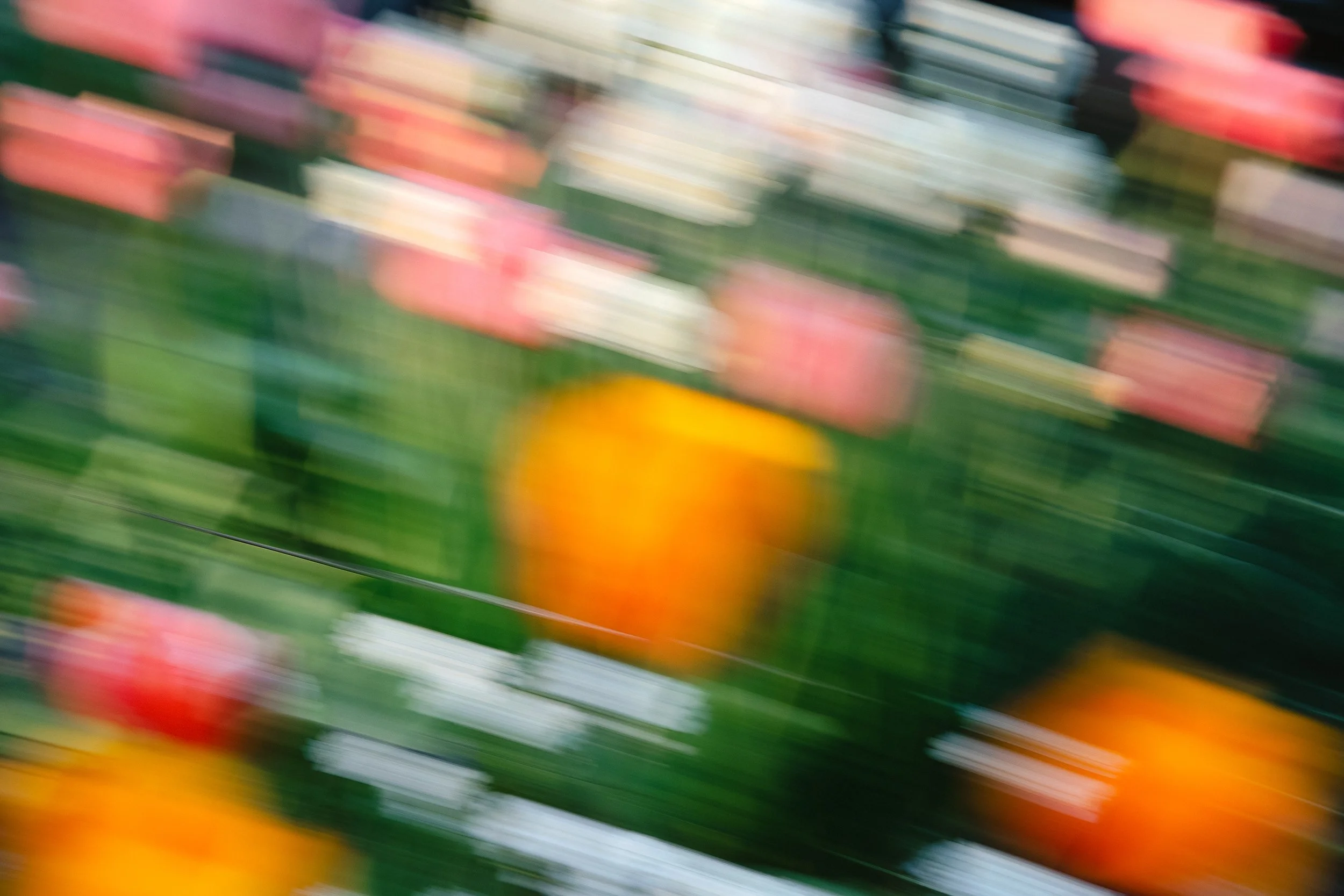 Blurred colorful flowers with a focus on an orange flower in a garden, photographed by documentary style wedding photographer Megan Farmer, based in Seattle, Washington. 
