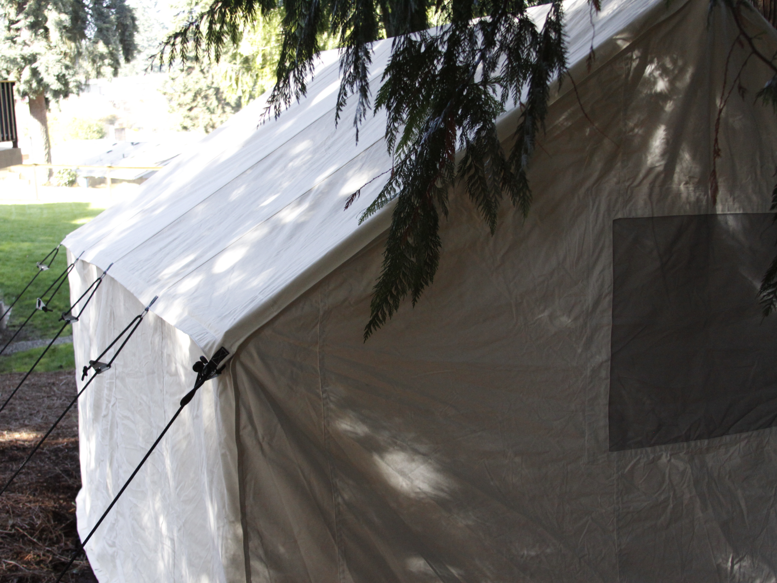 A white tent with black stakes and cords set up outdoors, partially shaded by tree branches.