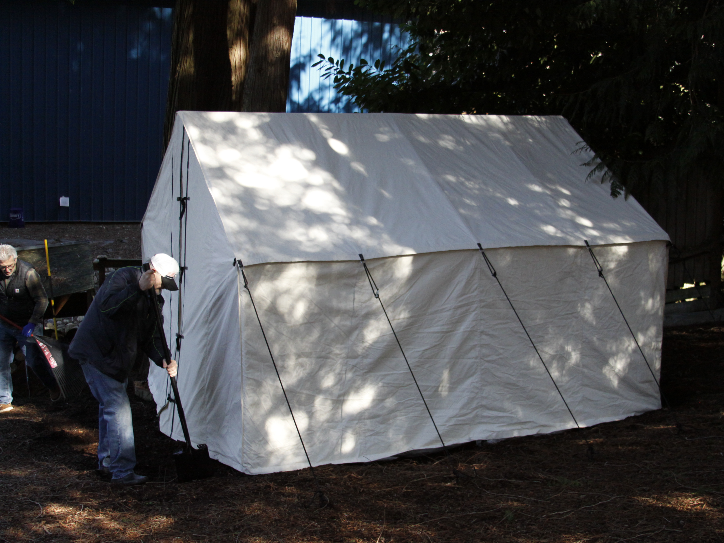 People setting up a white tent outdoors in a shaded area with trees and a fence.