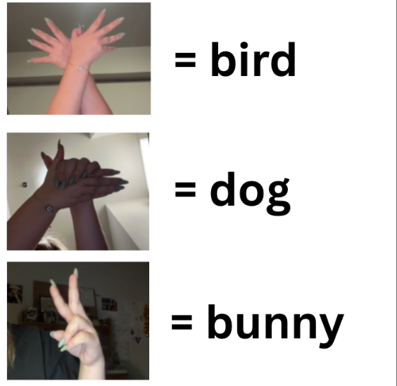 Screenshot 2026-03-05 at 1.44.38 PM.png