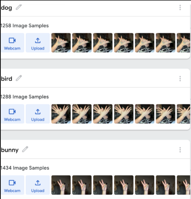 Teachable Machine was trained to recognize 3 specific hand poses: bunny, dog & bird.