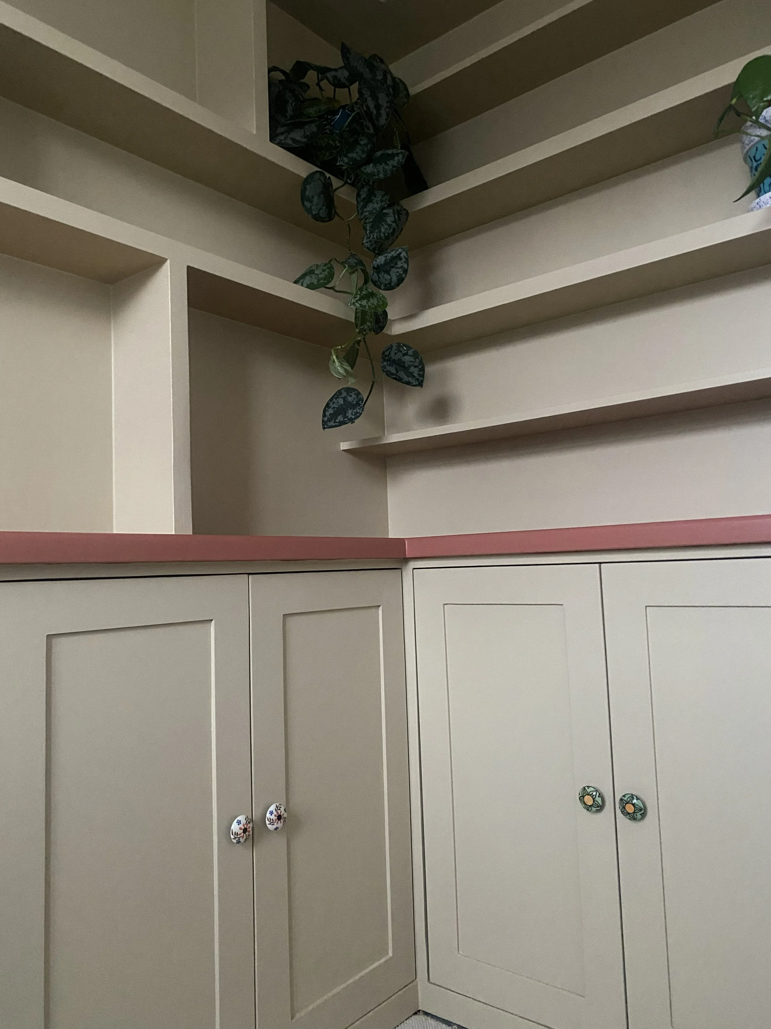Interior view of a corner cabinet with pink countertop, white cabinets with floral knobs, and open shelves with a potted plant hanging from the top shelf.