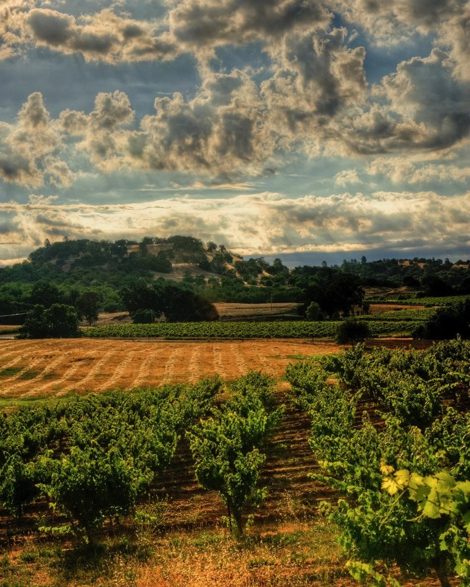 Rolling Shenandoah Valley vineyards under dramatic storm clouds with golden hills in the distance