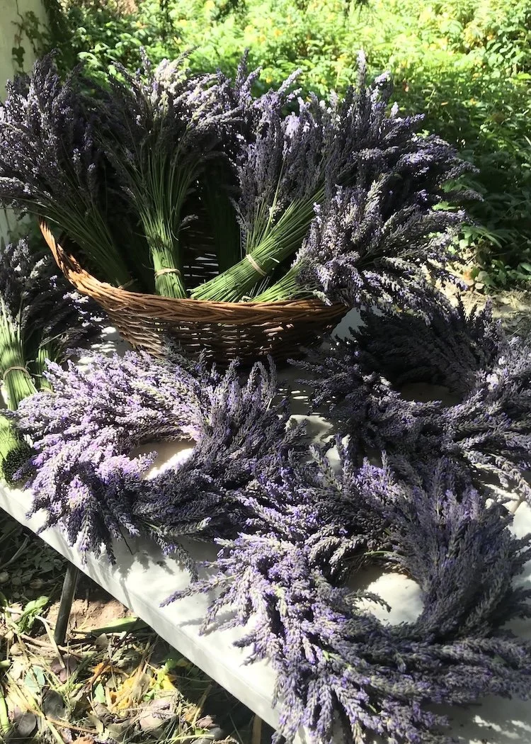 Lavender wreaths and fresh bundles laid out on a table in dappled sunlight, ready for market