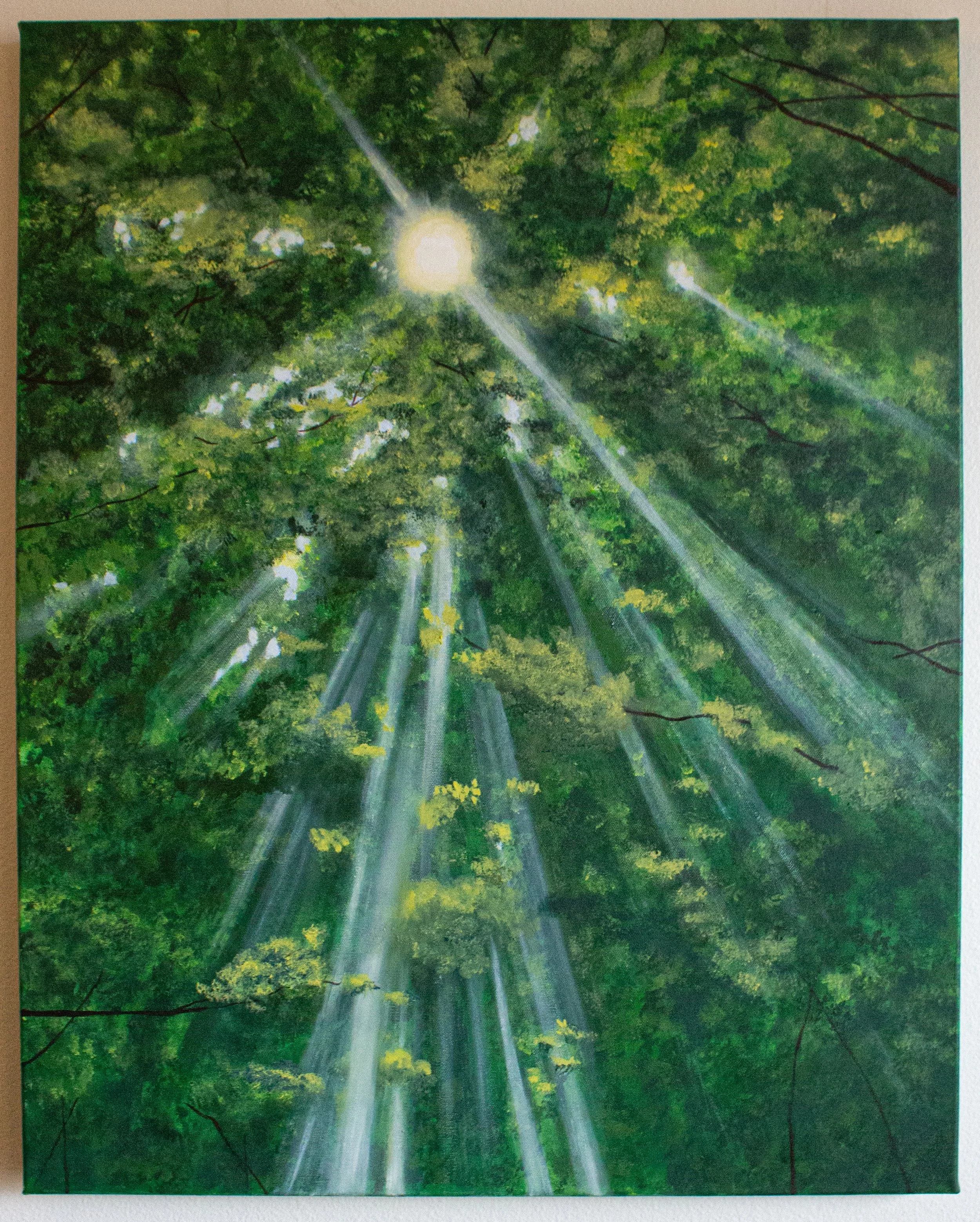 light through trees.jpg