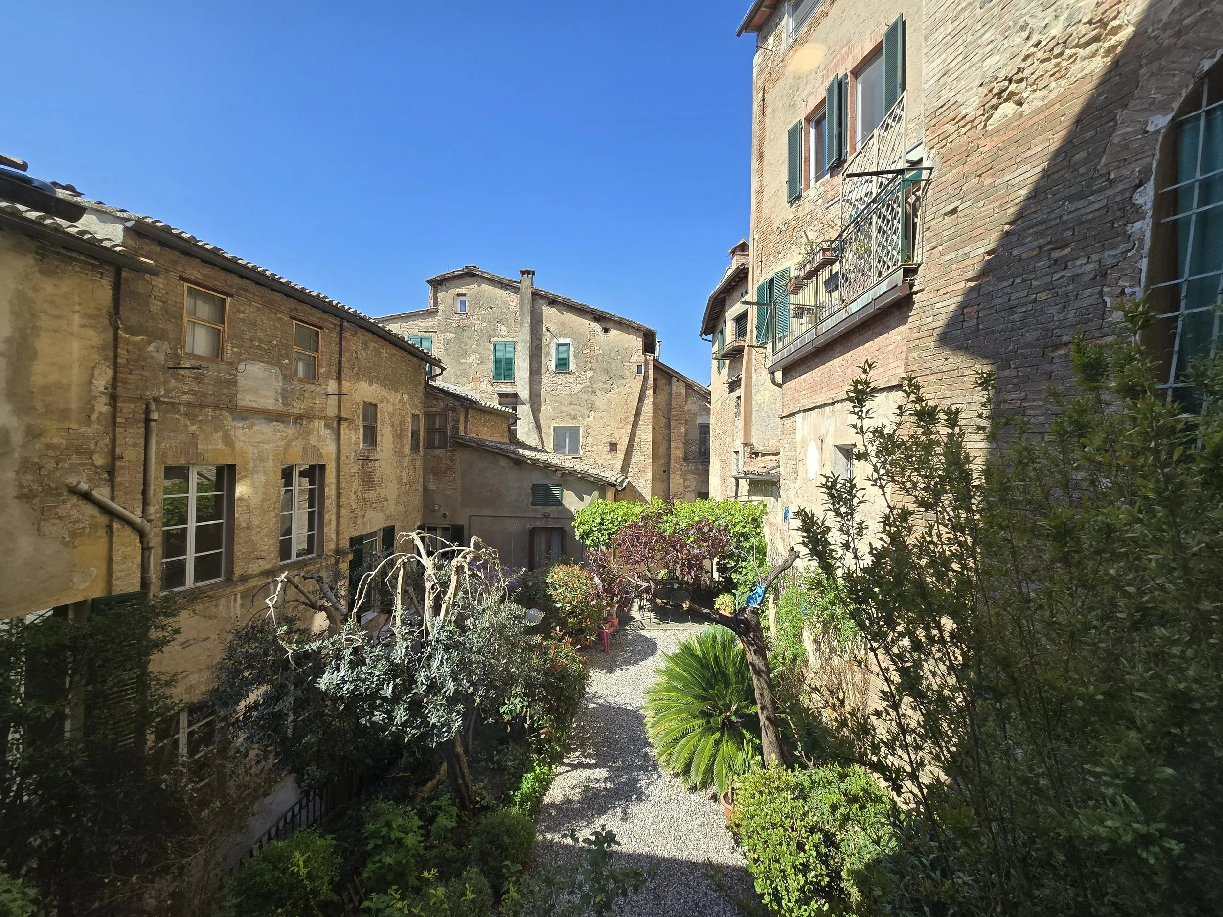 I Tetti di Siena (16).jpg