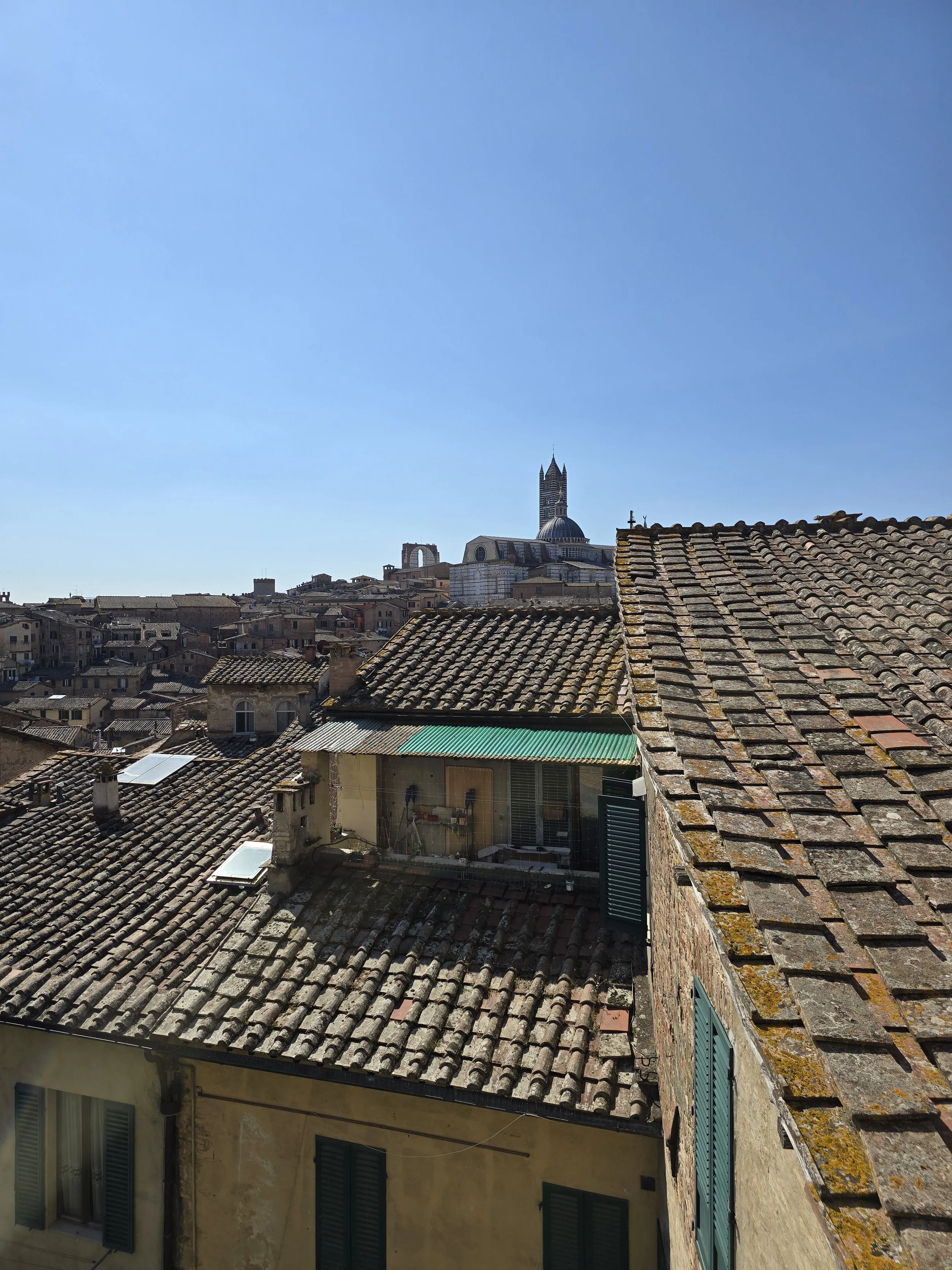 I Tetti di Siena (11).jpg