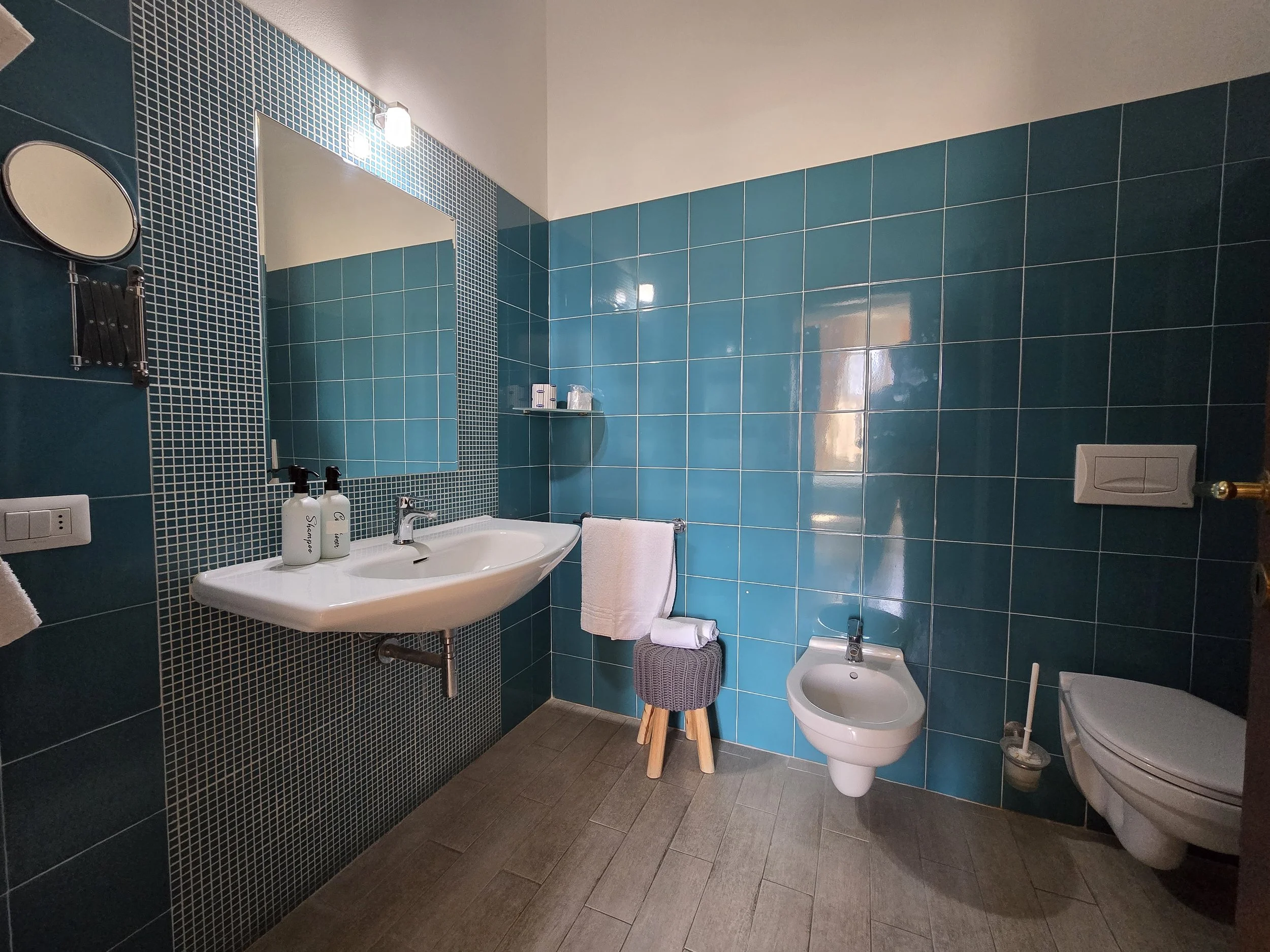 I Tetti di Siena (13).jpg