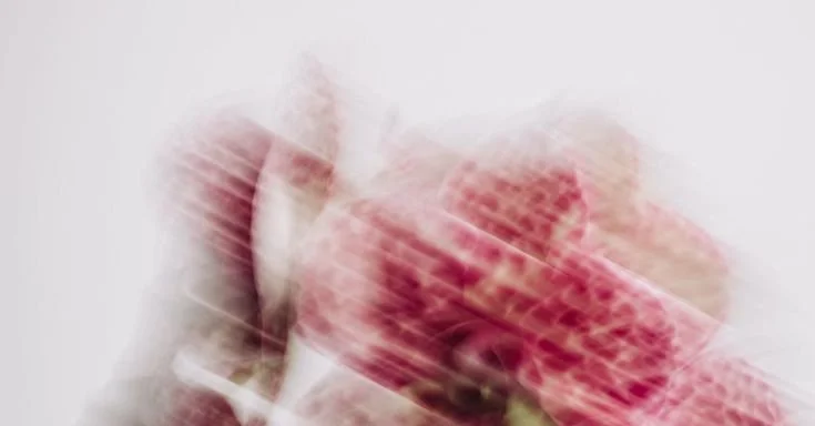 Image Fleur